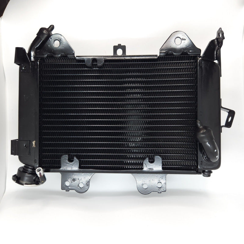 Radiador Pulsar Ns200 - As200 Bajaj Original