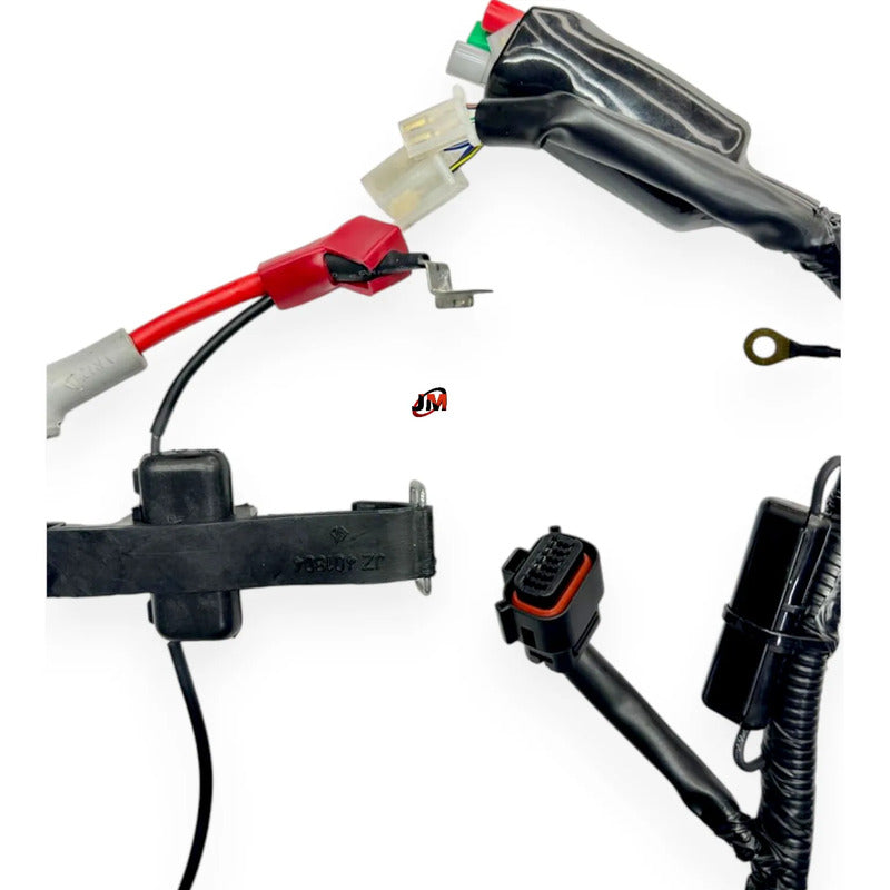 Ramal Electrico Discover 125 St Bajaj Original