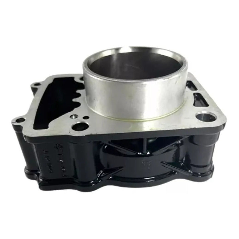 Kit Cilindro Completo Pulsar Ns200 Bajaj Original