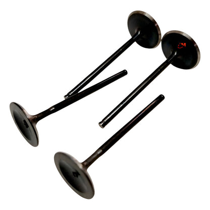 Kit Valvulas Adm-esc Duke 390 /390 Ng (x4) Ktm Original