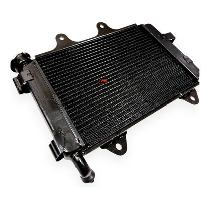 Radiador Dominar 250 Bajaj Original