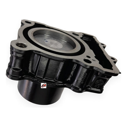 Kit Cilindro Completo Dominar 250 Bajaj Original