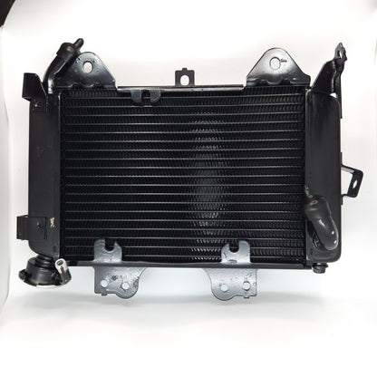Radiador Pulsar Ns200 - As200 Bajaj Original