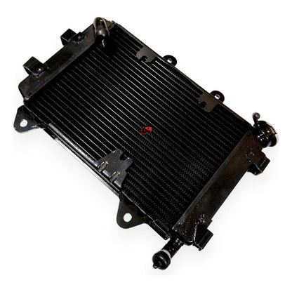 Radiador Dominar 250 Bajaj Original