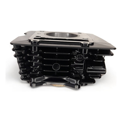 Kit Cilindro Completo Tvs Apache 160 4v Fi Original