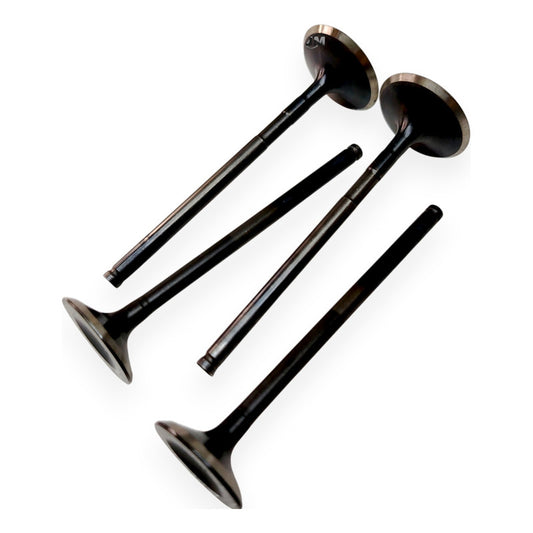 Kit Valvulas Adm-esc Duke 250 (x4) Ktm Original
