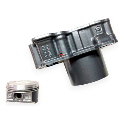 Kit Cilindro Completo Duke 250 /adventure 250 Ktm Original