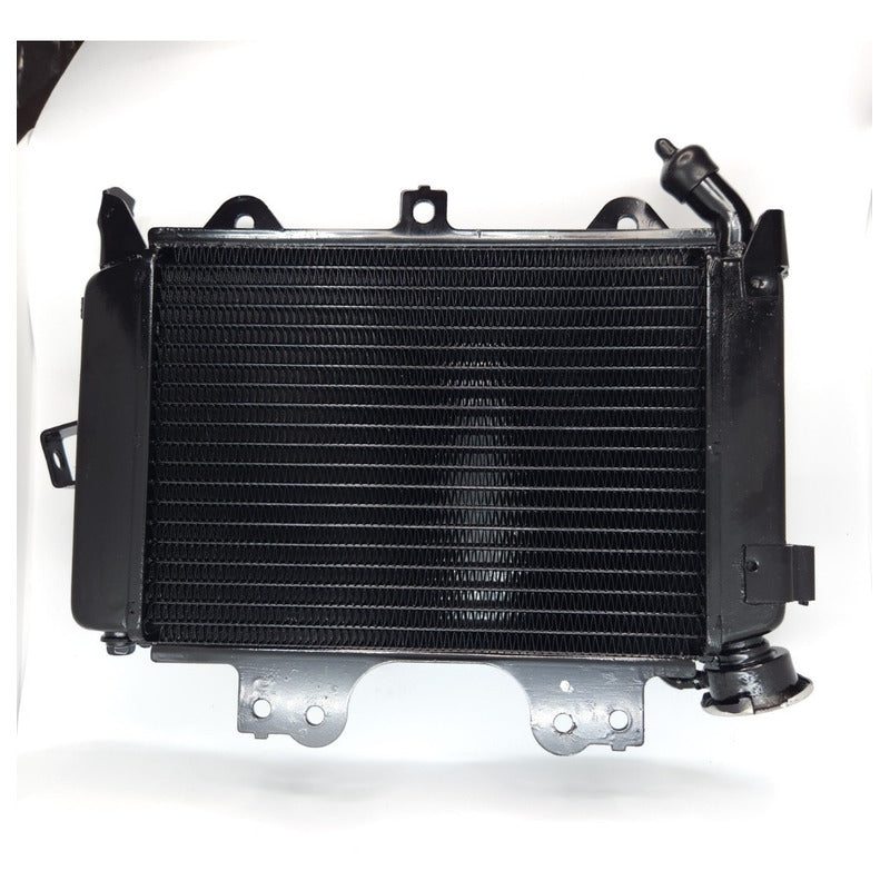 Radiador Pulsar Ns200 - As200 Bajaj Original