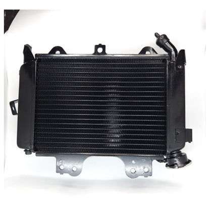 Radiador Pulsar Ns200 - As200 Bajaj Original