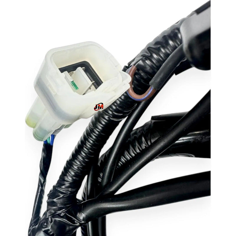 Ramal Electrico Discover 125+ /sport Bajaj Original