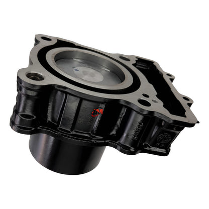 Kit Cilindro Completo Dominar 250 Bajaj Original