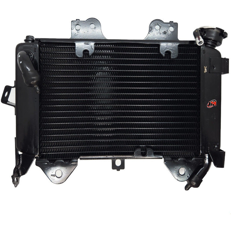 Radiador Pulsar Ns200 - As200 Bajaj Original