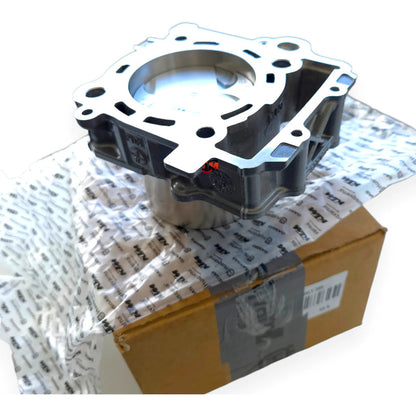 Kit Cilindro Completo Duke 390 (3 Generacion) Ktm Original