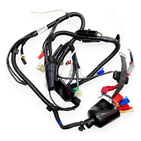 Ramal Electrico Discover 150 St Bajaj Original