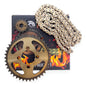 Kit Arrastre Discover 100-100 Sport/platino 110 Revo Termico Dorado Oscuro