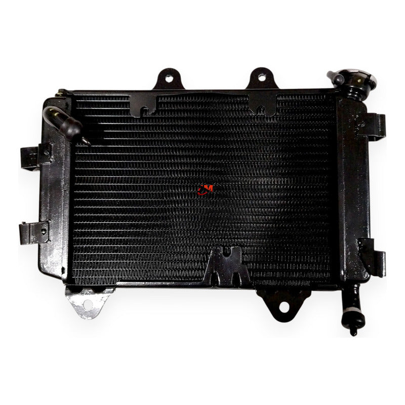 Radiador Dominar 250 Bajaj Original