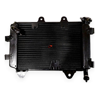 Radiador Dominar 250 Bajaj Original