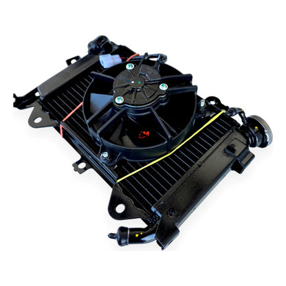 Radiador Con Ventilador Pulsar Ns200 /as200 Bajaj Original