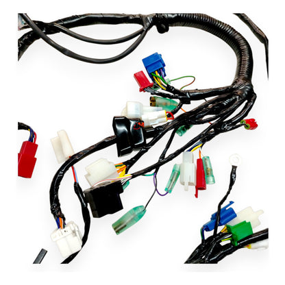 Ramal Electrico Apache 160 2v /180 2v Tvs Original(cableado)