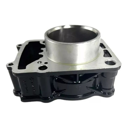 Kit Cilindro Completo Pulsar Ns200 Bajaj Original