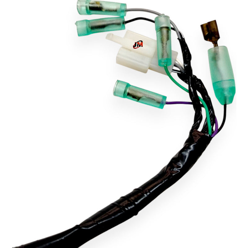 Ramal Electrico Apache 160 2v /180 2v Tvs Original(cableado)