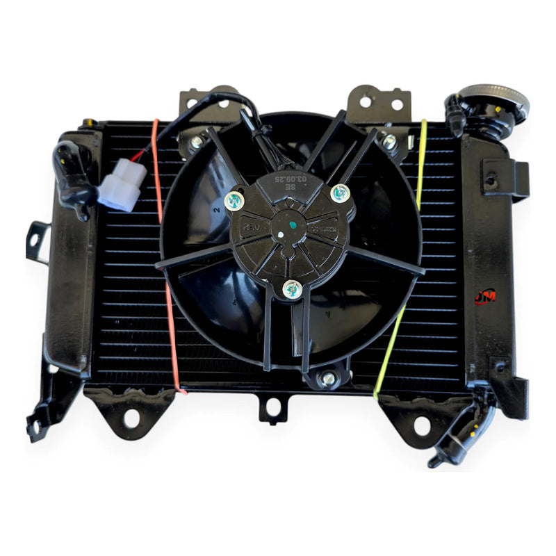 Radiador Con Ventilador Pulsar Ns200 /as200 Bajaj Original