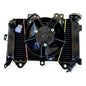 Radiador Con Ventilador Pulsar Ns200 /as200 Bajaj Original