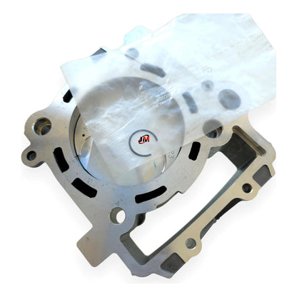Kit Cilindro Completo Duke 390 (3 Generacion) Ktm Original