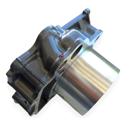 Kit Cilindro Completo Duke 390 (3 Generacion) Ktm Original